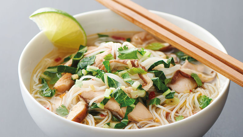 Japanese Chicken Udon Soup with Bok Choy