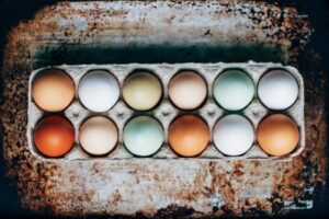 Types of Egg Used in Hotel Kitchen