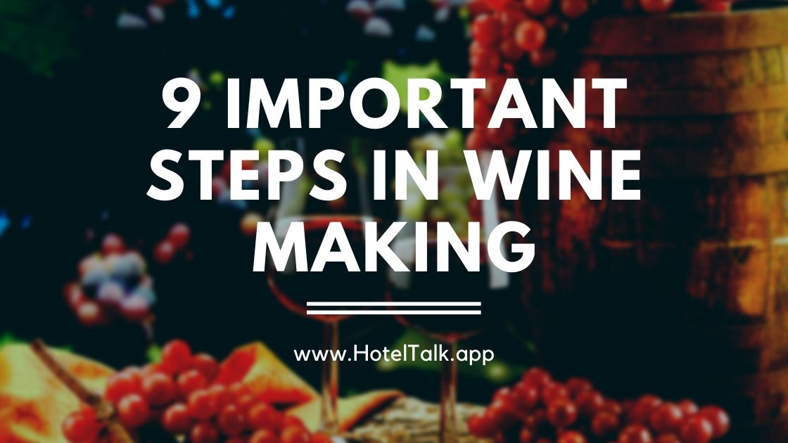 9 Important Steps In Wine Making