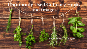 Commonly Used Culinary Herbs and images