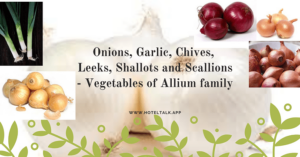 Onions, Garlic, Chives, Leeks, Shallots and Scallions -Vegetables of Allium family